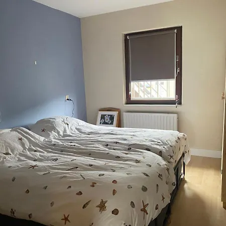 Zeezicht 公寓 布兰肯贝赫