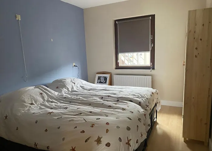 Zeezicht 公寓 布兰肯贝赫